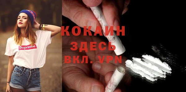 дмт Костерёво